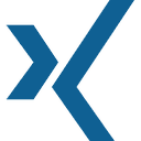 xing icon